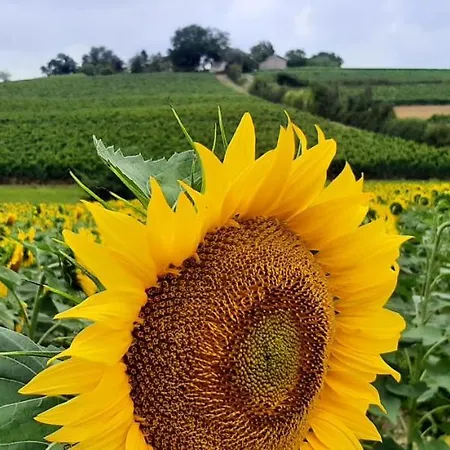 Tatil Evi - Le Moussat *