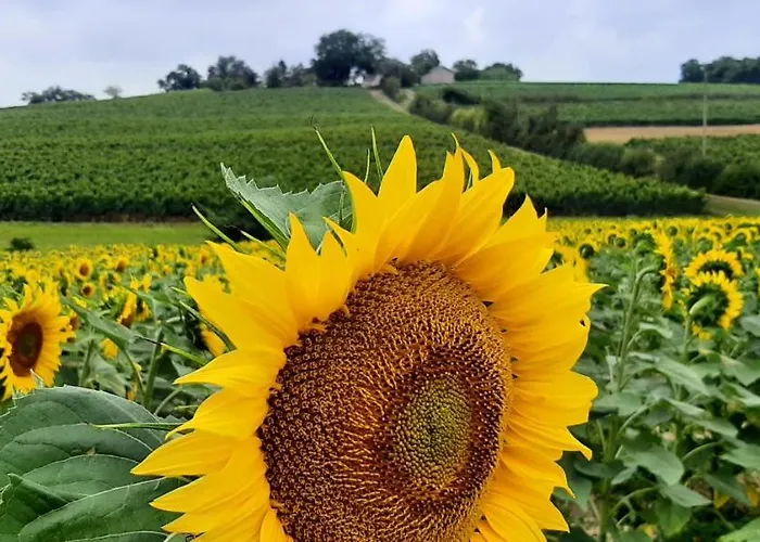 Semesterbostad - Le Moussat *